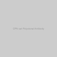 Image of CPN cat Polyclonal Antibody